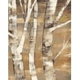 thumbnail image 1 of Wandering Through the Birches II Poster Print by Albena Hristova (22 x 28), 1 of 2