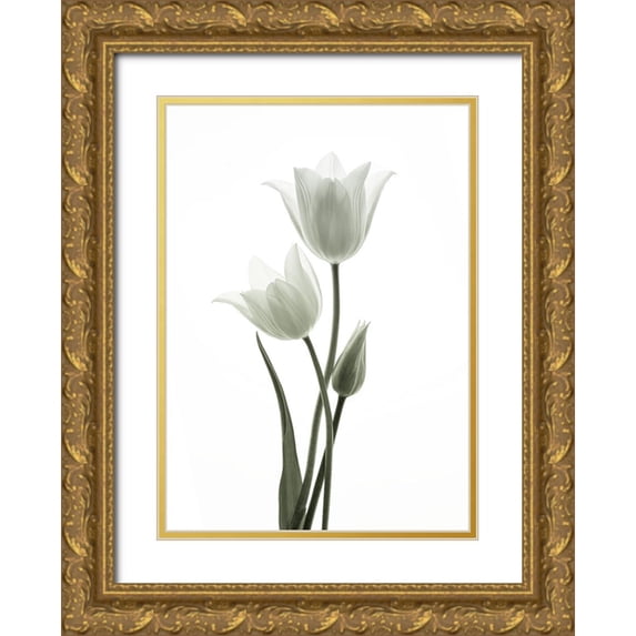 Wang, Ada 18x24 Gold Ornate Wood Framed with Double Matting Museum Art Print Titled - Tulips