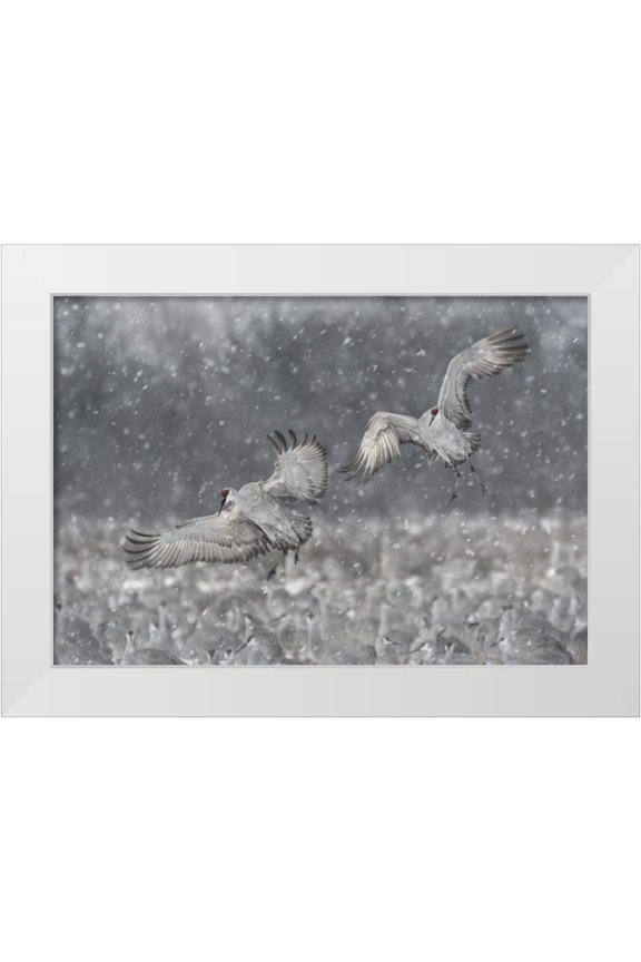 Wang, Kevin 14x11 White Modern Wood Framed Museum Art Print Titled - Step Aside!