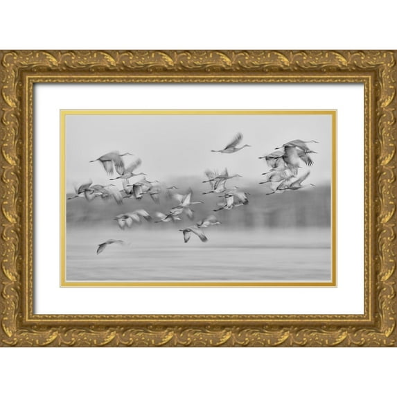 Wang, Kevin 18x13 Gold Ornate Wood Framed with Double Matting Museum Art Print Titled - Dream Flight