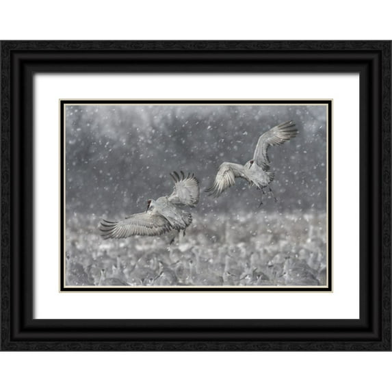 Wang, Kevin 18x14 Black Ornate Wood Framed with Double Matting Museum Art Print Titled - Step Aside!