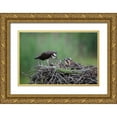 thumbnail image 1 of Wang, Max 32x23 Gold Ornate Wood Framed with Double Matting Museum Art Print Titled - Feeding Time, 1 of 4