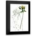 thumbnail image 1 of Wang, Melissa 11x14 Black Modern Framed Museum Art Print Titled - Botany Flower I, 1 of 5