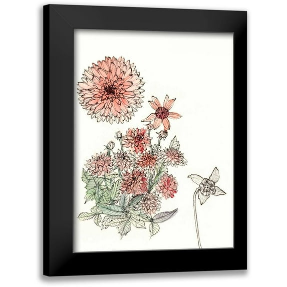 Wang, Melissa 11x14 Black Modern Framed Museum Art Print Titled - Dahlia Study
