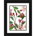 thumbnail image 1 of Wang, Melissa 11x14 Black Ornate Wood Framed with Double Matting Museum Art Print Titled - Malus Melliana II, 1 of 4