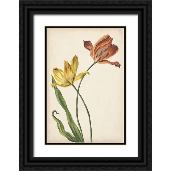 Wang, Melissa 11x14 Black Ornate Wood Framed with Double Matting Museum Art Print Titled - Two Tulips I