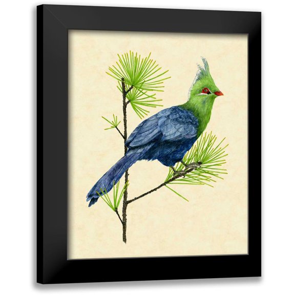 Wang, Melissa 12x14 Black Modern Framed Museum Art Print Titled - Green Turaco I