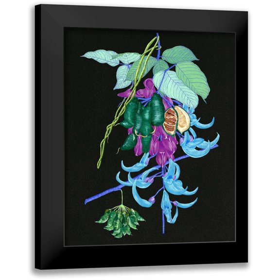 Wang, Melissa 12x14 Black Modern Framed Museum Art Print Titled - Jade Vine I