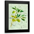 thumbnail image 1 of Wang, Melissa 12x14 Black Modern Framed Museum Art Print Titled - Olives on Textured Paper II, 1 of 5