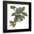 thumbnail image 1 of Wang, Melissa 12x14 Black Modern Framed Museum Art Print Titled - Prayer Plant II, 1 of 5