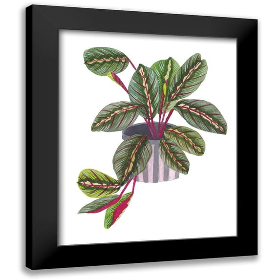 Wang, Melissa 12x14 Black Modern Framed Museum Art Print Titled - Prayer Plant II