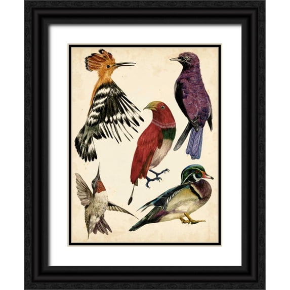 Wang, Melissa 12x14 Black Ornate Wood Framed with Double Matting Museum Art Print Titled - Bird Collection II