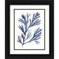 thumbnail image 1 of Wang, Melissa 12x14 Black Ornate Wood Framed with Double Matting Museum Art Print Titled - Seaweed Under Water I, 1 of 4