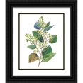 thumbnail image 1 of Wang, Melissa 12x14 Black Ornate Wood Framed with Double Matting Museum Art Print Titled - Seeded Eucalyptus II, 1 of 4