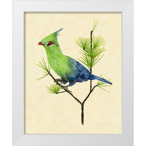 Wang, Melissa 12x14 White Modern Wood Framed Museum Art Print Titled - Green Turaco II
