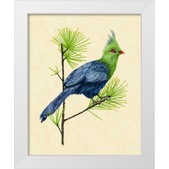 Wang, Melissa 12x14 White Modern Wood Framed Museum Art Print Titled - Green Turaco I
