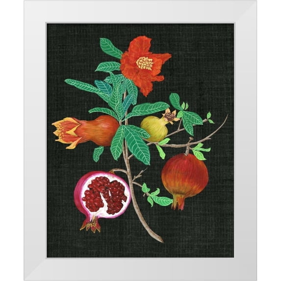 Wang, Melissa 12x14 White Modern Wood Framed Museum Art Print Titled - Pomegranate Study II
