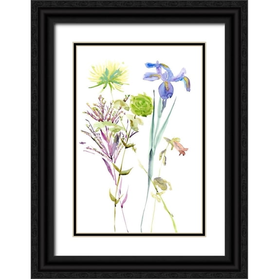 Wang, Melissa 13x18 Black Ornate Wood Framed with Double Matting Museum Art Print Titled - Watercolor Floral Study II
