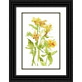 thumbnail image 1 of Wang, Melissa 13x18 Black Ornate Wood Framed with Double Matting Museum Art Print Titled - Watercolor Lilies II, 1 of 4