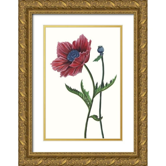 Wang, Melissa 13x18 Gold Ornate Wood Framed with Double Matting Museum Art Print Titled - Poppy Flower II