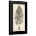 thumbnail image 1 of Wang, Melissa 13x24 Black Modern Framed Museum Art Print Titled - Pacific Northwest Tree Sketch II, 1 of 5
