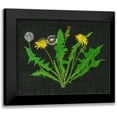 thumbnail image 1 of Wang, Melissa 14x12 Black Modern Framed Museum Art Print Titled - Wild Dandelion I, 1 of 5