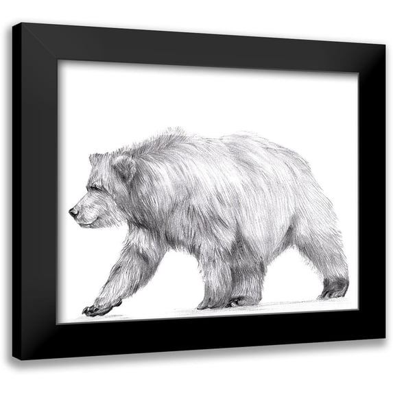 Wang, Melissa 14x12 Black Modern Framed Museum Art Print Titled - Wildlife Trail III
