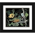 thumbnail image 1 of Wang, Melissa 14x12 Black Ornate Wood Framed with Double Matting Museum Art Print Titled - Duck in River III, 1 of 4