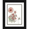 thumbnail image 1 of Wang, Melissa 14x18 Black Ornate Wood Framed with Double Matting Museum Art Print Titled - Dahlia Study, 1 of 4