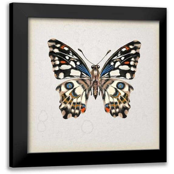 Wang, Melissa 15x15 Black Modern Framed Museum Art Print Titled - Butterfly Study II