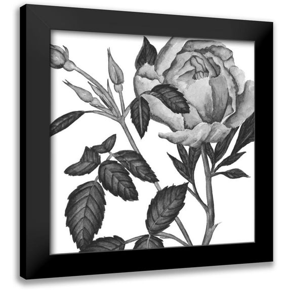 Wang, Melissa 15x15 Black Modern Framed Museum Art Print Titled - Flowers in Grey I