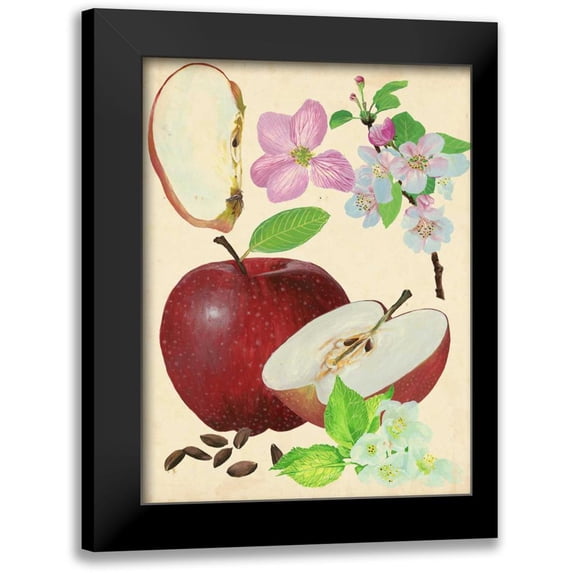 Wang, Melissa 15x18 Black Modern Framed Museum Art Print Titled - Apple and Blossom Study I