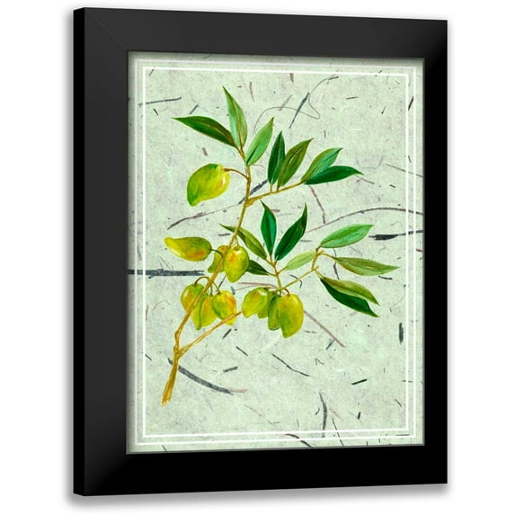 Wang, Melissa 15x18 Black Modern Framed Museum Art Print Titled - Olives on Textured Paper II