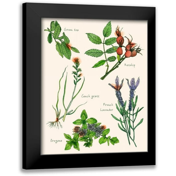 Wang, Melissa 15x18 Black Modern Framed Museum Art Print Titled - Sweet Assemblage II