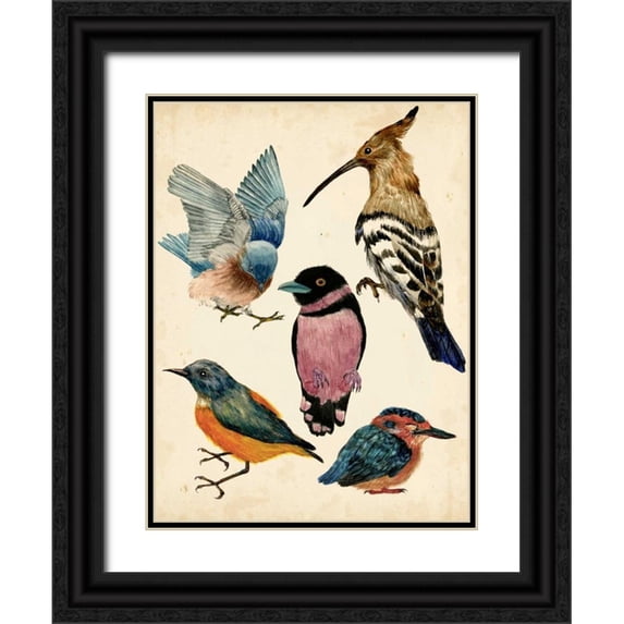 Wang, Melissa 15x18 Black Ornate Wood Framed with Double Matting Museum Art Print Titled - Bird Collection I