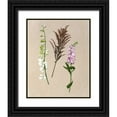 thumbnail image 1 of Wang, Melissa 15x18 Black Ornate Wood Framed with Double Matting Museum Art Print Titled - Pretty Pressed Flowers IV, 1 of 4