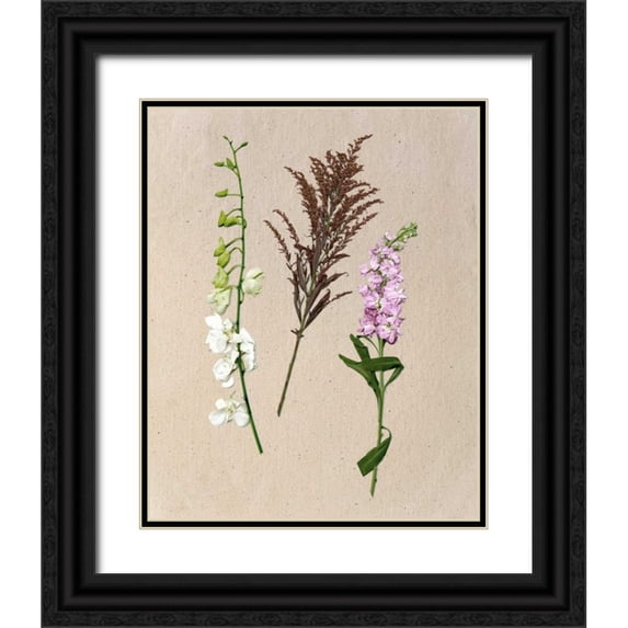 Wang, Melissa 15x18 Black Ornate Wood Framed with Double Matting Museum Art Print Titled - Pretty Pressed Flowers IV