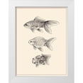 thumbnail image 1 of Wang, Melissa 15x18 White Modern Wood Framed Museum Art Print Titled - Goldfish IV, 1 of 4