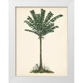 thumbnail image 1 of Wang, Melissa 15x18 White Modern Wood Framed Museum Art Print Titled - Palm Tree Study IV, 1 of 4