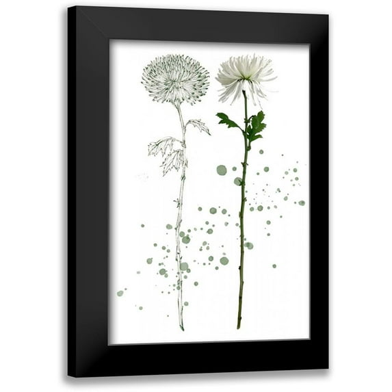 Wang, Melissa 17x24 Black Modern Framed Museum Art Print Titled - Botany Flower IV