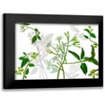 thumbnail image 1 of Wang, Melissa 18x13 Black Modern Framed Museum Art Print Titled - Solanum I, 1 of 5