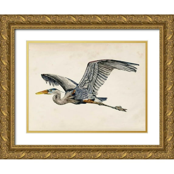Wang, Melissa 18x15 Gold Ornate Wood Framed with Double Matting Museum Art Print Titled - Blue Heron Rendering III