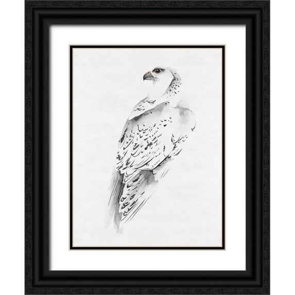 Wang, Melissa 19x24 Black Ornate Wood Framed with Double Matting Museum Art Print Titled - Gyrfalcon I
