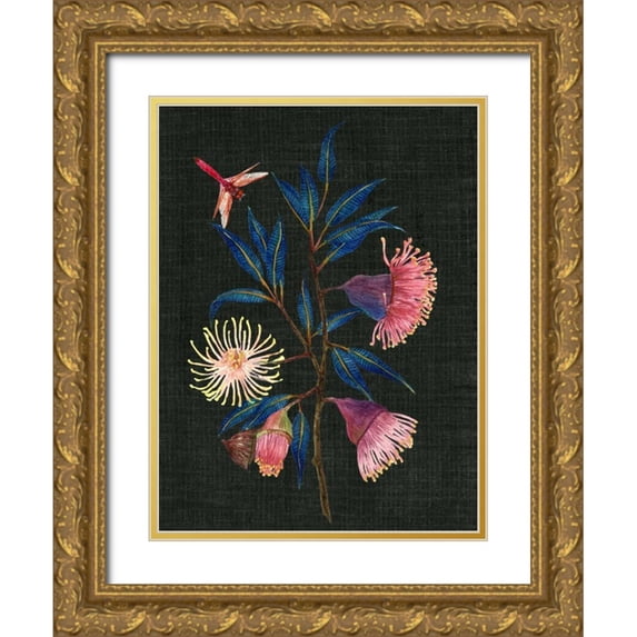 Wang, Melissa 19x24 Gold Ornate Wood Framed with Double Matting Museum Art Print Titled - Gum Nuts I