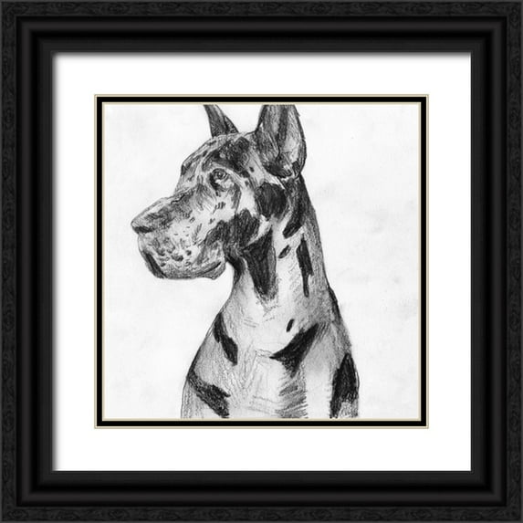 Wang, Melissa 20x20 Black Ornate Wood Framed with Double Matting Museum Art Print Titled - Great Dane Portrait I