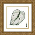 thumbnail image 1 of Wang, Melissa 20x20 Gold Ornate Wood Framed with Double Matting Museum Art Print Titled - Scindapsus III, 1 of 4