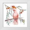 thumbnail image 1 of Wang, Melissa 20x20 White Modern Wood Framed Museum Art Print Titled - Pink Cockatoo I, 1 of 4