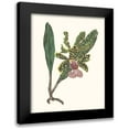 thumbnail image 1 of Wang, Melissa 20x24 Black Modern Framed Museum Art Print Titled - Orchid Display II, 1 of 5