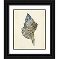 thumbnail image 1 of Wang, Melissa 20x24 Black Ornate Wood Framed with Double Matting Museum Art Print Titled - Watercolor Seashell III, 1 of 4