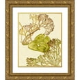 thumbnail image 1 of Wang, Melissa 20x24 Gold Ornate Wood Framed with Double Matting Museum Art Print Titled - Vintage Seaweed Collection II, 1 of 4